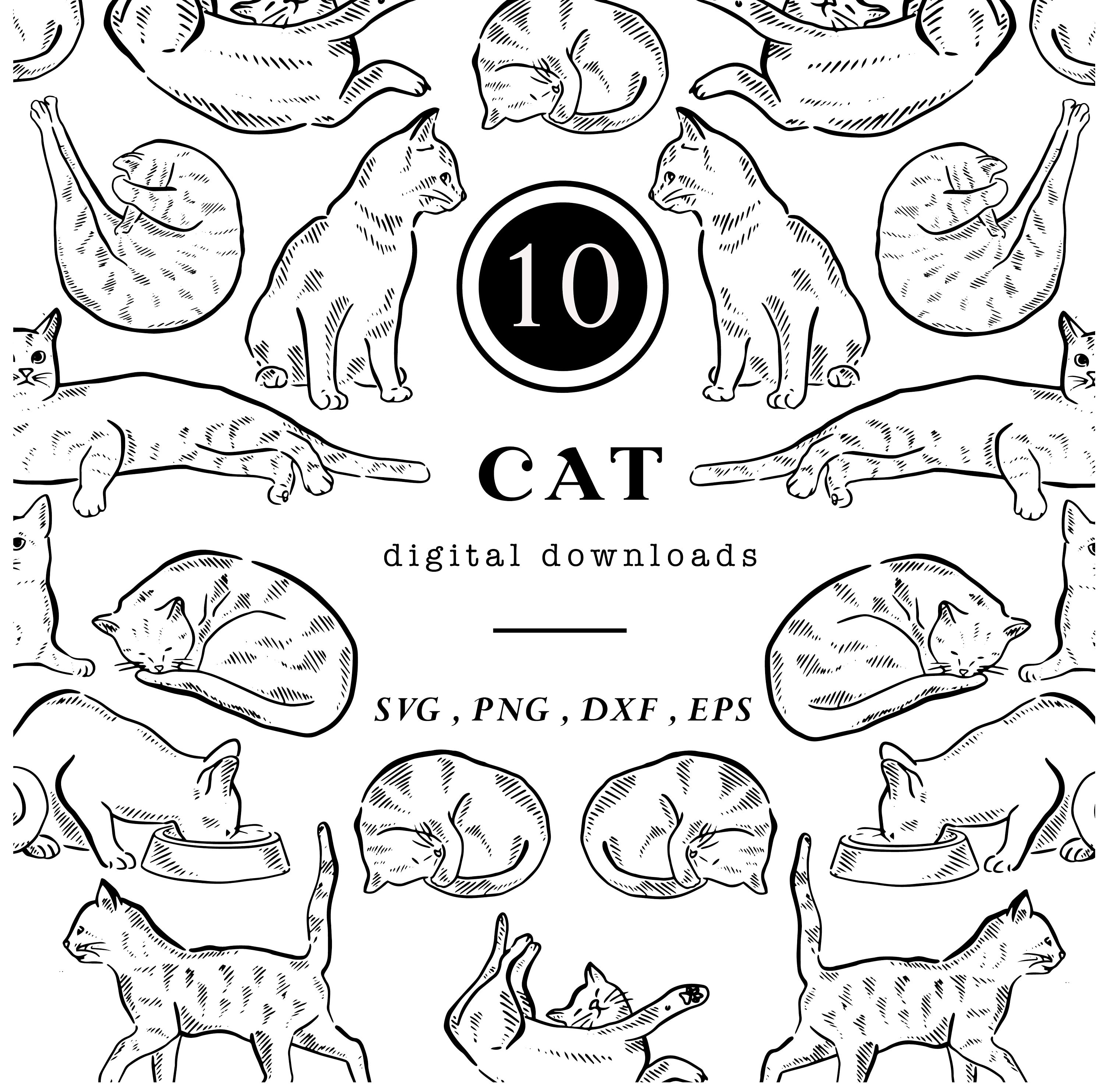 Cat Drawings, Instant Digital Download Line Drawing, Vector ...