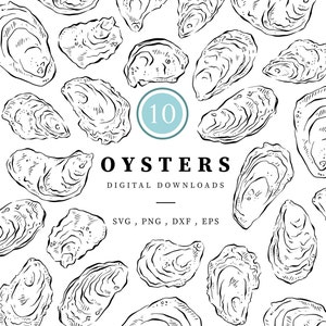 Oysters Line Drawn Clipart Bundle, Shellfish illustrations, Instant Digital Download, Seafood Drawings, Menu, Digital Download Illustrations