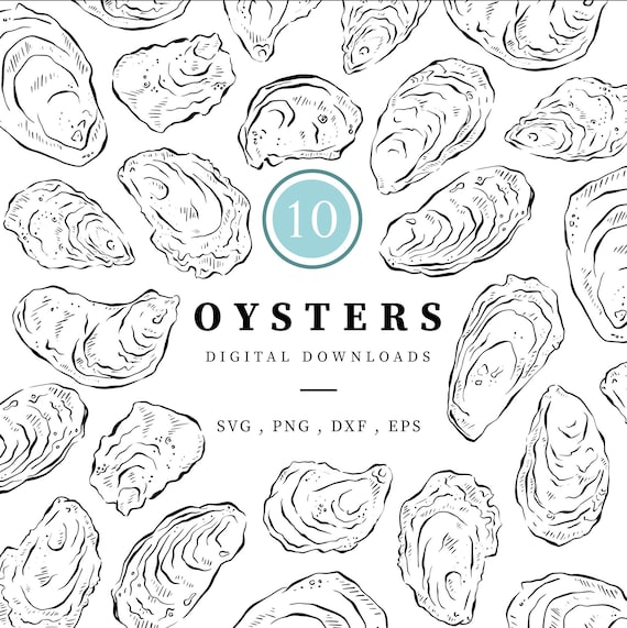 Oysters Line Drawn Clipart Bundle, Shellfish illustrations, Instant Digital Download, Seafood Drawings, Menu, Digital Download Illustrations