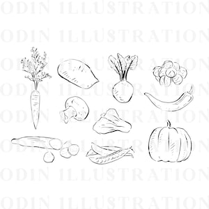 Vegetables Line Drawn Clipart, Black and White Digital Download ...