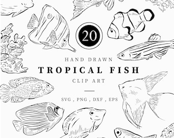 Tropical Fish Clipart, Hand Drawn Sealife Art, Black Line Drawn Ocean Clipart, Instant Digital Download Illustrations, Under The Sea Picture