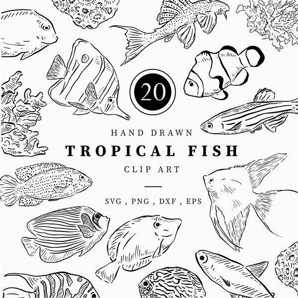 Tropical Fish Clipart, Hand Drawn Fish and Coral, Black & White Line Drawing Clipart, Instant Digital Download Illustrations, Under The Sea