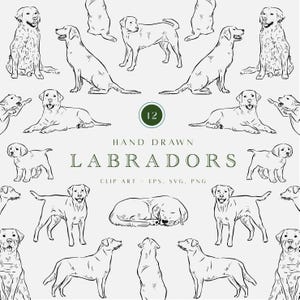 Hand Drawn Labradors, Dog Drawings, Dog Themed Party, Labrador Lover, Black Lab SVG, Line Drawn Pet Clip Art, Gift for Labrador Owner, Logo