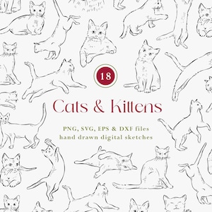 Cat Clipart Bundle, Line Drawn Kittens, Cats Digital Download, Cat SVG, Kitten Drawings, Cat Illustration Vectors, Black and White Felines