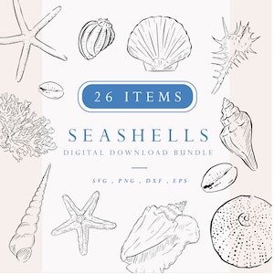 Shell Clipart Bundle, Sea Themed Digital Download, Illustration Bundle, Line Drawn Beach Clipart, Instant Download Art, Destination Wedding