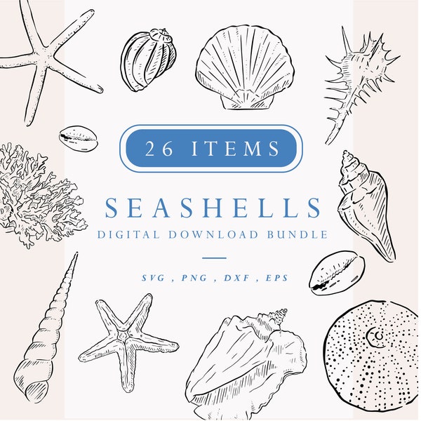Shell Clipart, Sea Shells Digital Download, Illustration Bundle, Line Drawn Beach Clipart, Instant Download Art, Destination Wedding