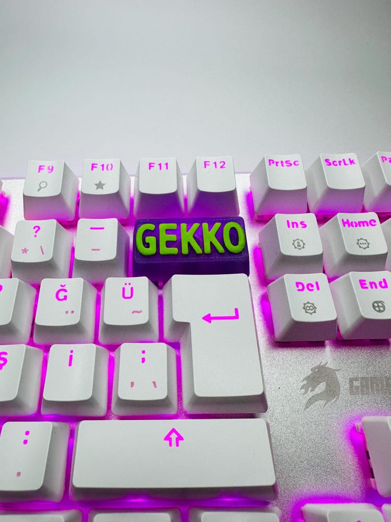 Gecko Computer Keyboard Gekko Valorant Keycaps Agent Abilities OEM Profile Fits Cherry MX ...