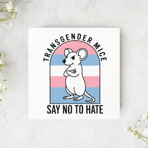 Protect Trans People Sticker | LGBTQ+ Equality Decal for Kids | Trans Rights Support | Pride Youth Gift | Cute Vinyl Sticker, Trans Mice