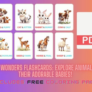 Wild Wonders Flashcards: Ontdek dieren en hun schattige baby's! Flashkaarten voor kinderen van 3 en 7 jaar