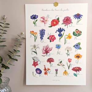 Illustration ABC der Gartenblumen 30x40cm – Kunstdruck – Florales und poetisches Deko-Poster