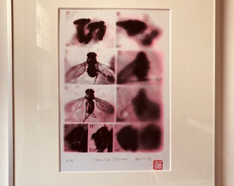 Handgemaakte Zeefdruk VLIEGEN Print groot - DIN A4 - horror poster pop art retro neon roze fluor drosophila insecten raster mothra godzilla
