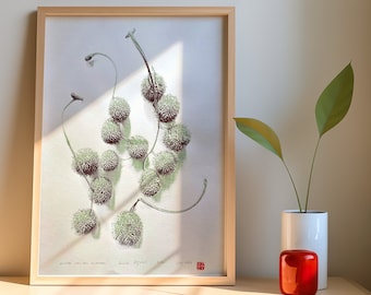 Handmade Sycamore Seed Print: Retro Pop-Art Risograph (DIN A2)