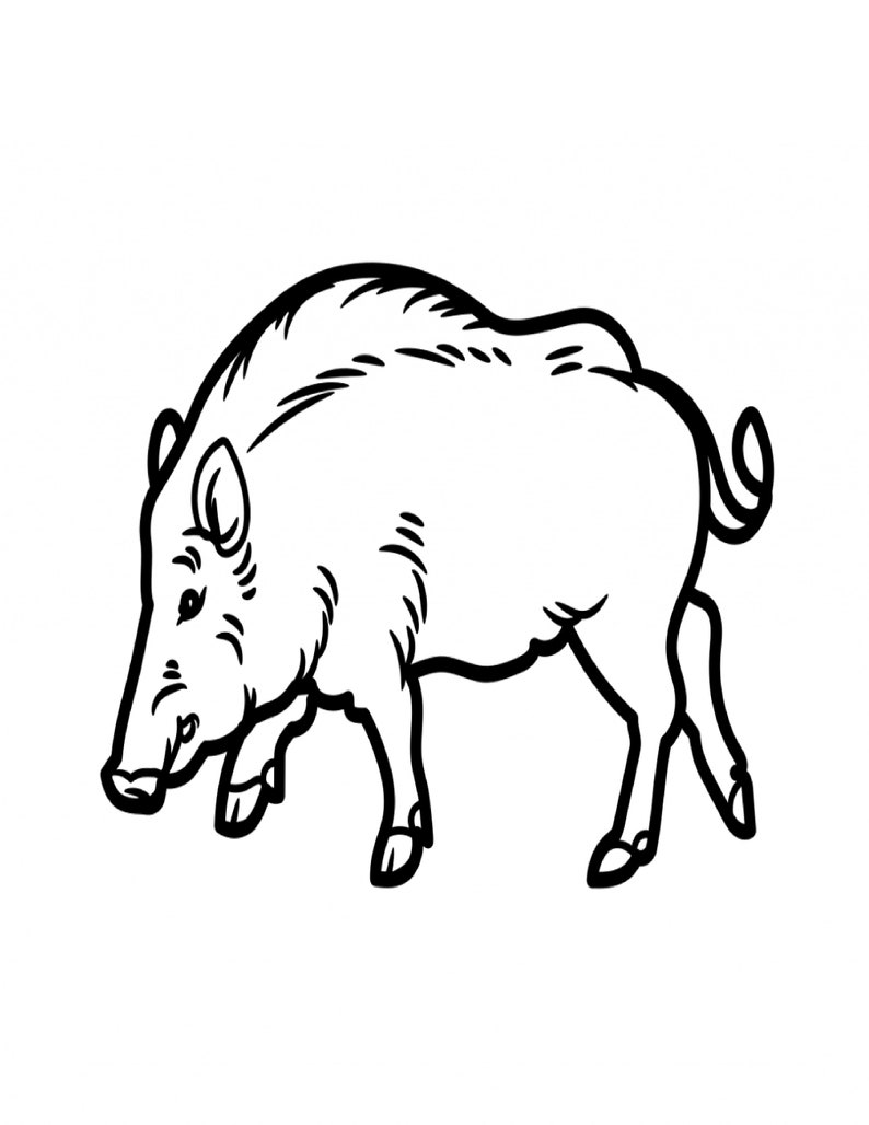 10 Printable Safari Animal Coloring Pages for Kids Kids Party Coloring