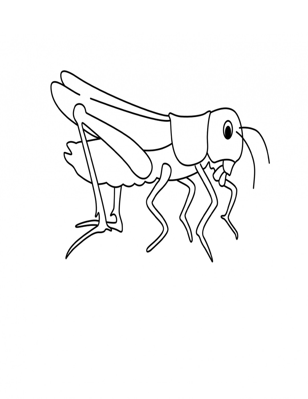 8 Animals and Bugs Colouring Pages for Kids - Etsy