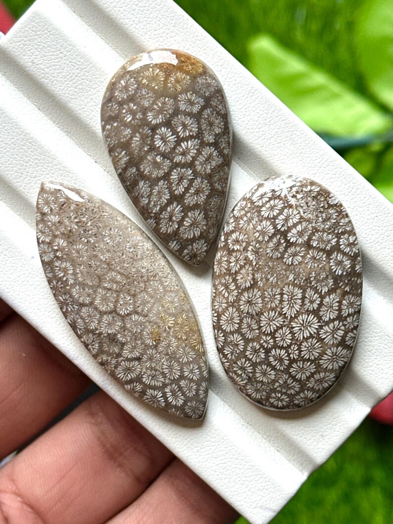 May include: Three polished fossil coral cabochons in teardrop, oval, and leaf shapes. The stones have a brown base color with intricate white floral patterns. The cabochons are displayed on a white surface.