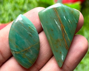 May include: Two polished green gemstones with brown veining are shown. One is oval, the other triangular. The gemstones are held in a hand against a blurred green and red background.