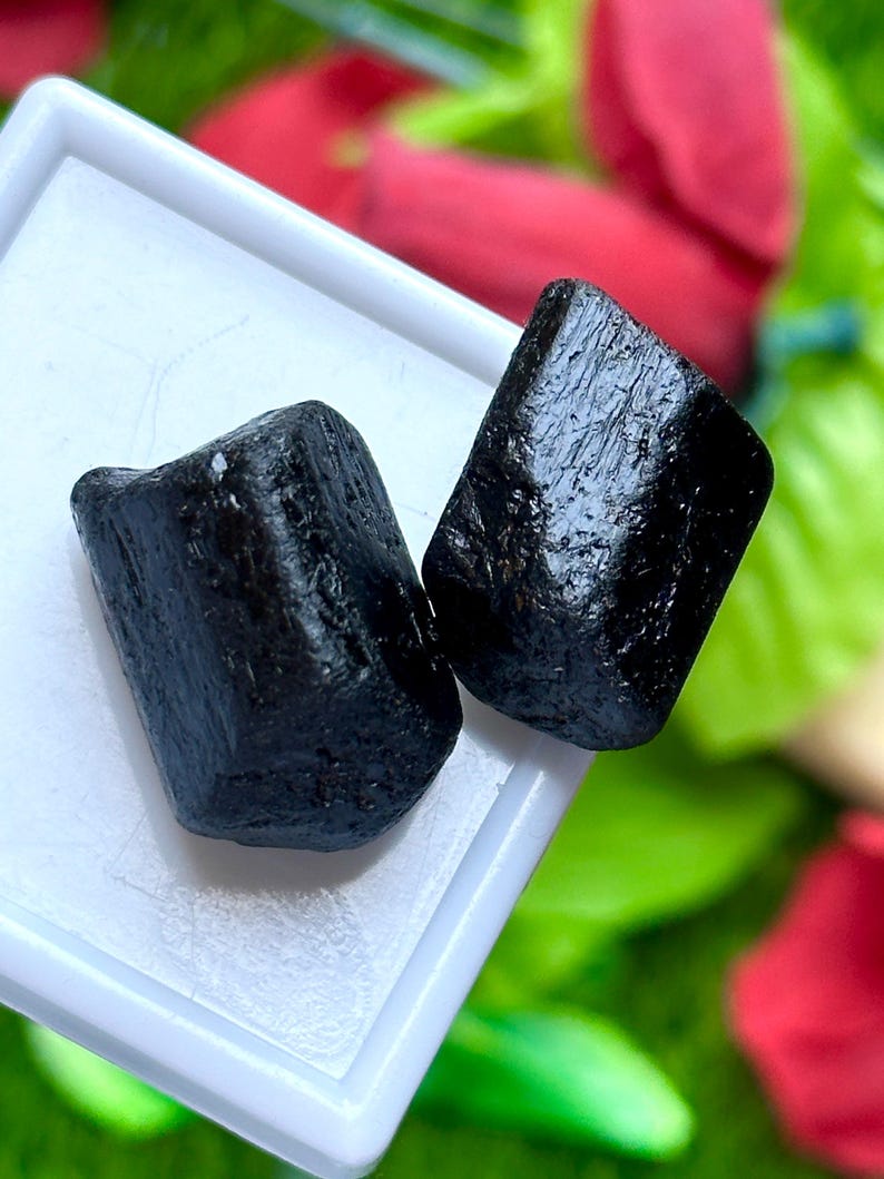 K&ouml;nnte beinhalten: Zwei rohe, schwarze Turmalinsteine mit rauer, strukturierter Oberfl&auml;che. Die Steine werden auf einem wei&szlig;en Tablett pr&auml;sentiert, mit einem verschwommenen Hintergrund aus rotem und gr&uuml;nem Laub. Die Steine sind rechteckig und haben einen gl&auml;nzenden Glanz.