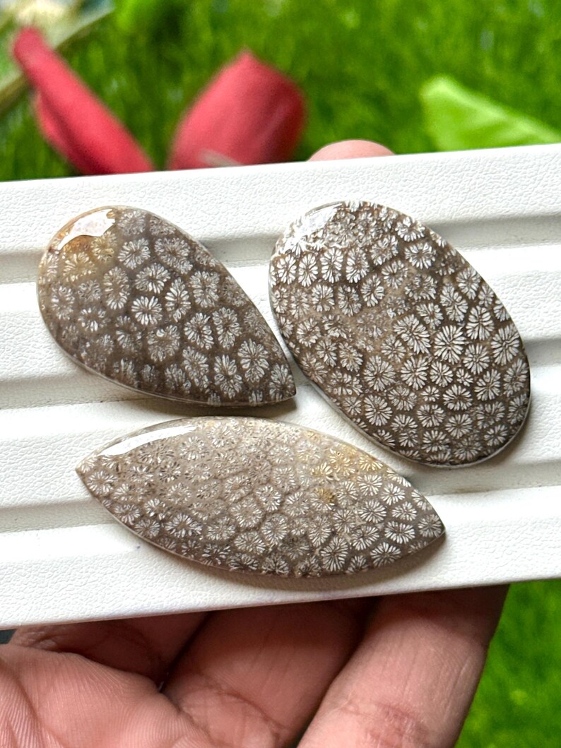 May include: Three polished fossil coral cabochons in various shapes. The cabochons have a brown base color with intricate white floral patterns. The shapes include an oval, a teardrop, and a leaf shape. The cabochons are displayed on a white surface.