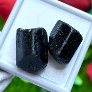 K&ouml;nnte beinhalten: Zwei rohe, schwarze Turmalinkristalle liegen in einer wei&szlig;en quadratischen Schale. Die Kristalle haben eine raue, strukturierte Oberfl&auml;che und eine dunkle, undurchsichtige Farbe. Der Hintergrund ist verschwommen mit gr&uuml;nen und roten Farbt&ouml;nen.