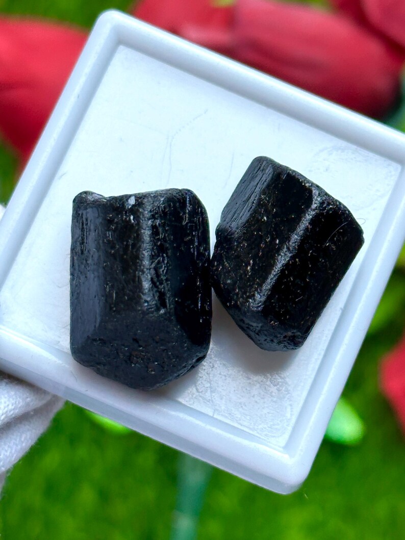 K&ouml;nnte beinhalten: Zwei rohe, schwarze Turmalinkristalle liegen in einer wei&szlig;en quadratischen Schale. Die Kristalle haben eine raue, strukturierte Oberfl&auml;che und eine dunkle, undurchsichtige Farbe. Der Hintergrund ist verschwommen mit gr&uuml;nen und roten Farbt&ouml;nen.
