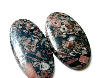 Crinoid Fossil Coral Cabochon Pair | Rare 47-25mm 109.70ct | Large Oval Matching Set for Jewelry Making