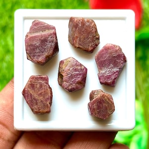 May include: Six rough, uncut ruby gemstones in a white display case. The rubies are a deep reddish-pink colour with a textured surface. The gemstones are displayed against a blurred green and red background.