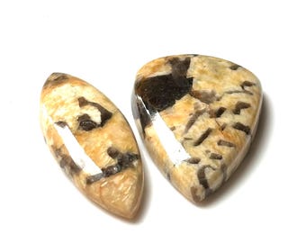 Coppia di cabochon in feldspato grafico: pietra per gioielli beige e nera (51,80 ct)