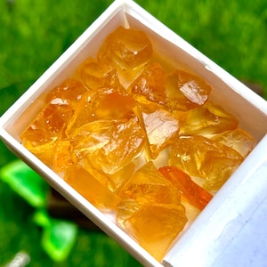 May include: A white box filled with golden-yellow, translucent citrine crystals. The crystals vary in size and shape, with a few small, orange-hued pieces. The background is a blurred, vibrant green.