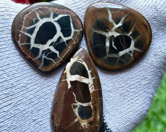 May include: Three polished gemstones with a unique pattern. The stones are brown with black and white veining, and are in various shapes: a heart, a rounded triangle, and a teardrop. The gemstones are displayed on a gray fabric.