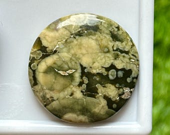 AAA+ Rainforest Rhyolite Cabochon Round 29x29mm 39.35ct Natural Jasper Gemstone