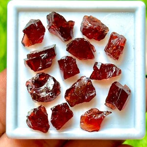 Raw Garnet 14Pcs 13-6mm 61.15ct Natural Rough Red Gemstone Lot