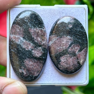 May include: Two oval-shaped gemstones with a polished surface. The stones feature a mix of black and maroon colors, with a marbled pattern. They are set in a white plastic case, likely for display or storage. The gemstones are likely for jewelry making.