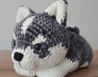 Little Archer the Husky Puppy