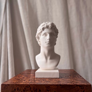 10 inch Bust of Alexander the Great, Statue of Alexander the Great, Bookshelf Decor, Greek God, Roman Decoration, Housewarming Gift