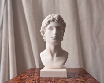 10 inch Bust of Alexander the Great, Statue of Alexander the Great, Bookshelf Decor, Greek God, Roman Decoration, Housewarming Gift