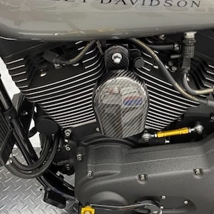 Carbon Fiber Classic Horn Cover and Bracket for Harley Touring Models