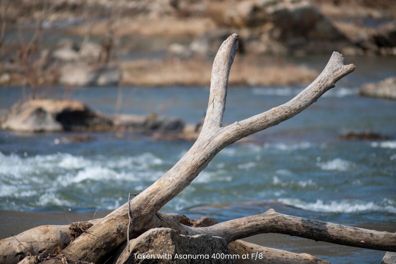 May include: A close-up of weathered driftwood branches against a blurred background of a flowing river. The branches are light brown and gray, with a rough texture. The water is blue and white, with some rocks visible.