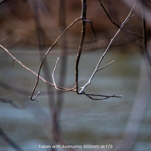 May include: Close-up of thin, brown tree branches against a blurred background of muted colors. Some branches are light gray. The image is taken with Asanuma 400mm at F/8.