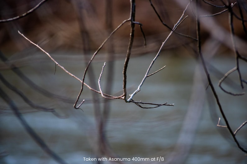 May include: Close-up of thin, brown tree branches against a blurred background of muted colors. Some branches are light gray. The image is taken with Asanuma 400mm at F/8.