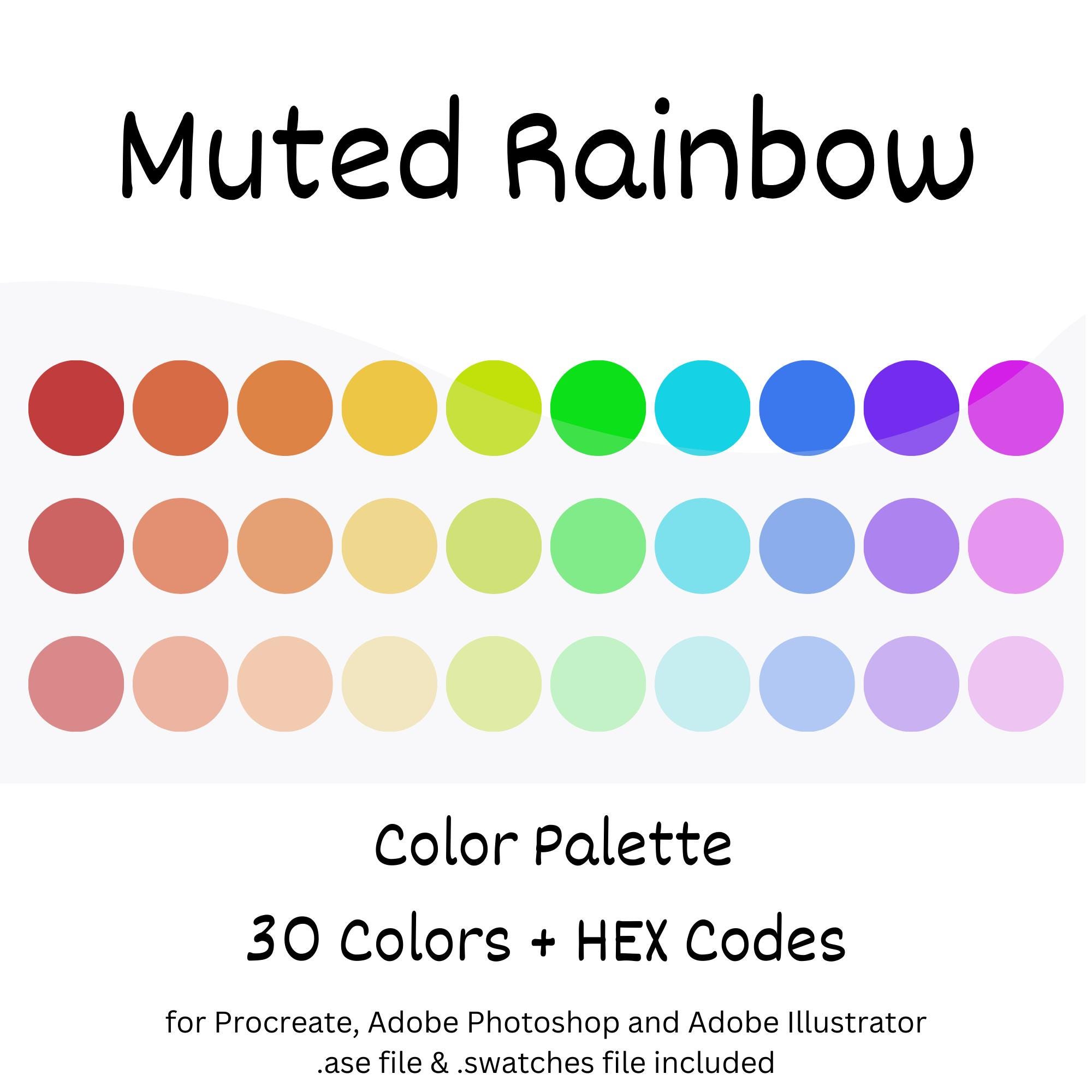 Muted Rainbow Digital Color Palette, iPad Procreate, Adobe Photoshop, Adobe Illustrator, Color Swatches, Calm Muted Rainbow Colors,HEX Codes