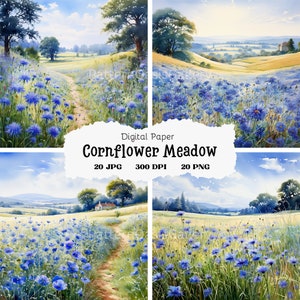 20 Cornflower Meadow Images, Wild Cornflower Field Landscape, JPG & PNG, Wall Art, Digital Print, Commercial Use, Watercolor, #21