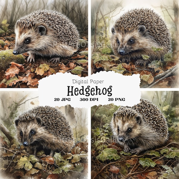 20 Cute Hedgehog Clipart, Hedgehog Images, Wildlife Images, Nature Clipart, Wall Art, High Quality JPGs & PNGs, Printable, #48