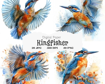 May include: Digital paper featuring four watercolor illustrations of kingfishers. Two kingfishers are flying with their wings spread, and two are perched on branches with flowers. The illustrations are in shades of blue, orange, and green.
