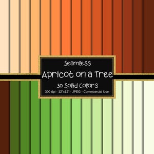 Apricot Tree Solid Color Digital Paper Pack, Solid Background, Base Digital Paper, Color Medley, Scrapbook Pages, 30 Colors, Peach Color