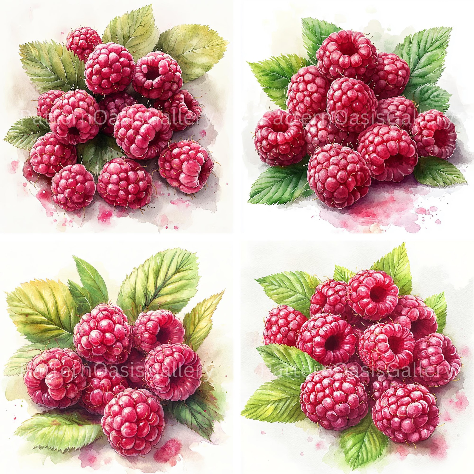 Watercolour Raspberry 20 Raspberry Clipart, Watercolor Raspberry Images, High-quality Jpgs ...