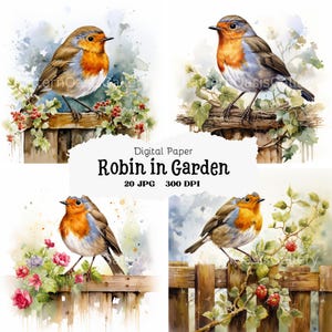 20 dessins d'art d'oiseaux aquarelles, 20 fichiers JPG, art mural, Images d'oiseaux, téléchargement numérique, usage commercial, Clipart oiseau, tenue d'un journal, cartes