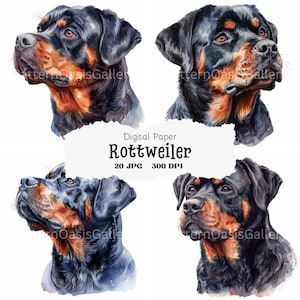 20 Rottweiler Clipart, Rottweiler Portrait Images, JPGs, Junk Journal, Digital Paper Craft, Card Making, Printable Watercolor Clipart