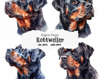 May include: Digital paper pack featuring four watercolor illustrations of Rottweiler dogs. The dogs are depicted in various poses, with their black and tan fur and expressive eyes.