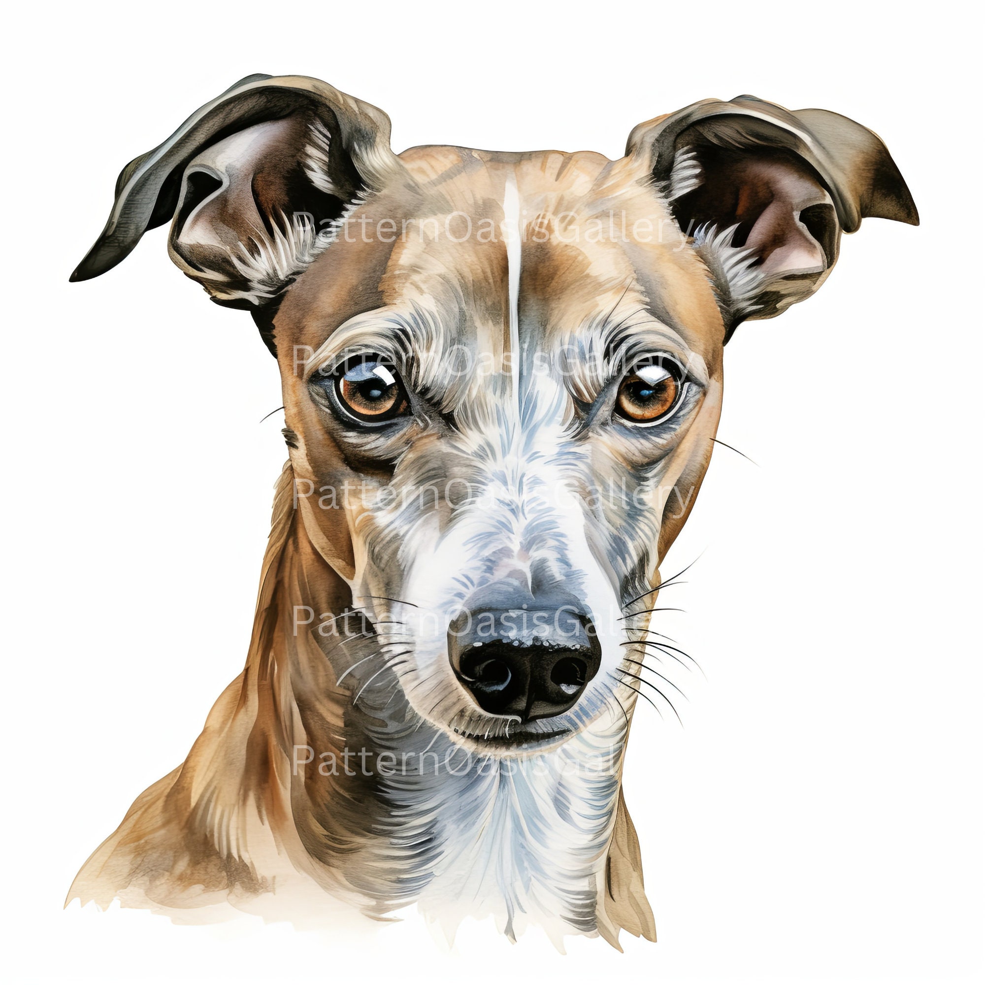 Whippet Clipart, Whippet Portrait Clip Art, Dog Clipart, 20 Designs ...