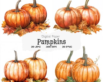 20 Pumpkin Clipart, Watercolor Pumpkin Clip Art, Pumpkin Wall Art, Fall Pumpkin, Autumn Clipart,High Quality JPGs & PNGs,Commercial Use,#161